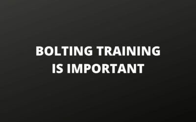 THE IMPORTANCE OF BOLTING TRAINING